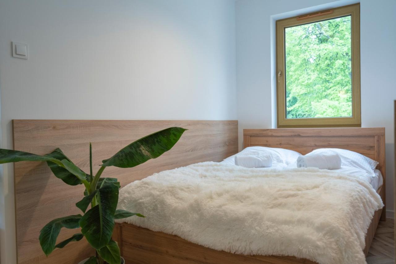 Apartmán Apartament Kilinskiego 17 Sklářská Poruba Exteriér fotografie
