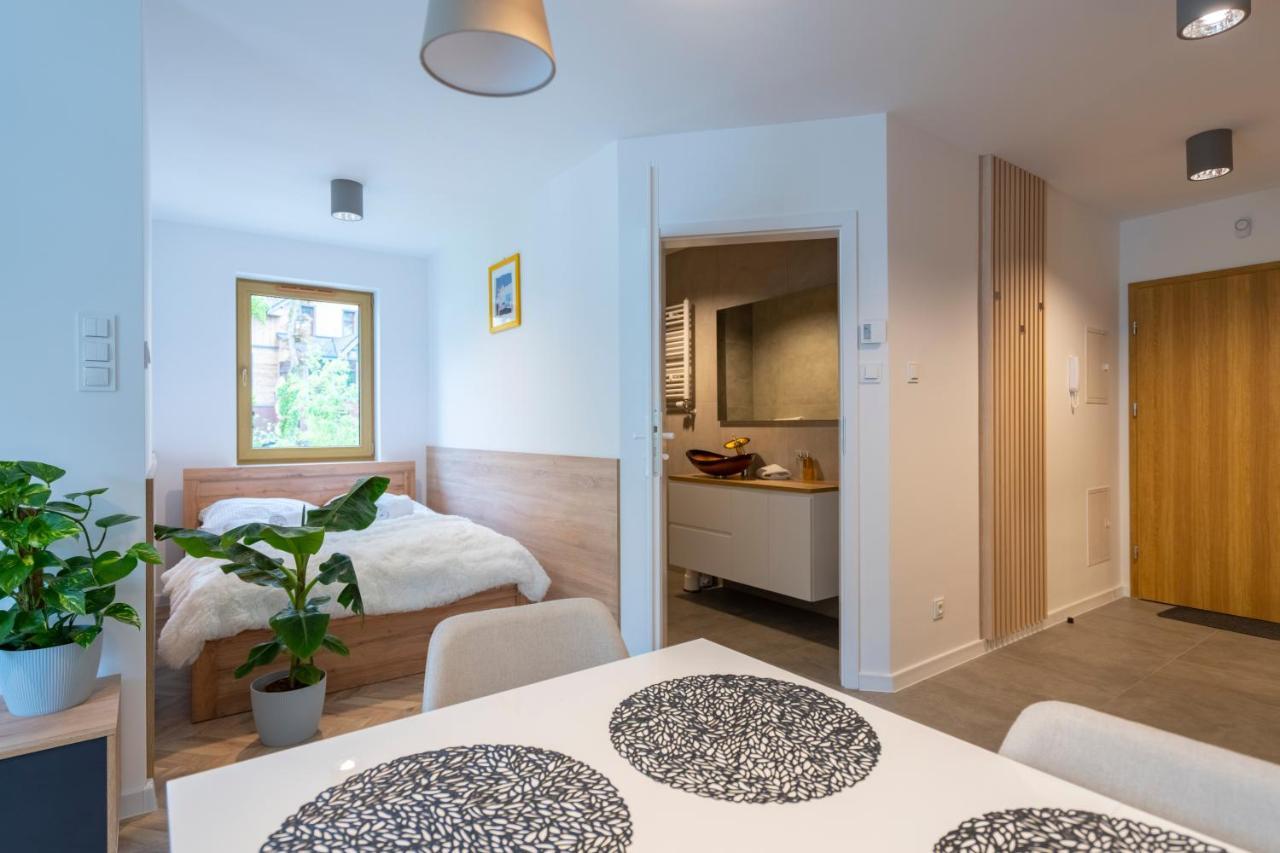 Apartmán Apartament Kilinskiego 17 Sklářská Poruba Exteriér fotografie